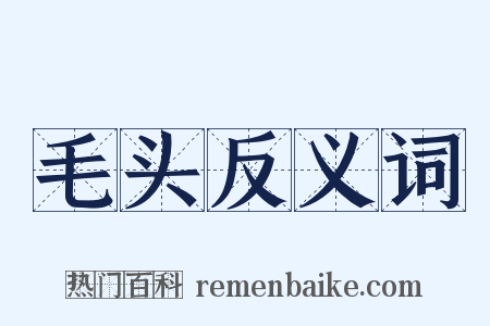 毛头反义词是什么意思的图片